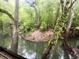 Scenic waterfront view with lush trees, creating a serene and natural backdrop to the property at 12828 Sw 49Th Ter, Webster, FL 33597