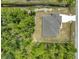 Aerial view of a single-Gathering home, surrounded by lush greenery and a well-manicured lawn at 19041 Mardi Gras St, Orlando, FL 32833