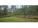 Wooden fence borders backyard with trees and grass at 19041 Mardi Gras St, Orlando, FL 32833