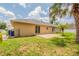 Spacious backyard with lawn, patio, and mature palm trees at 1856 Laredo Dr, Deltona, FL 32738