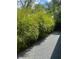 Lush landscaping with gravel path leading to gate at 734 Maryland Ave, Winter Park, FL 32789