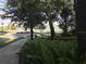 Sidewalk view of the landscaped street at 1553 Amber Leaf Cir, Ocoee, FL 34761