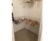 Walk-in closet equipped with ample shelving and hanging space at 9053 Lee Vista Blvd # 1405, Orlando, FL 32829