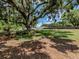 Lush backyard with mature trees and a spacious lawn, offering a serene and private outdoor space at 6909 Farris Dr, Lakeland, FL 33811