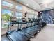 Bright community gym featuring modern treadmills and elliptical machines, next to large windows at 2132 Limestone Trl, Kissimmee, FL 34747