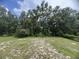 Large back yard with trees around the perimeter, with an open, sandy area at 2777 Cr 673, Bushnell, FL 33513