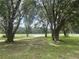 Scenic lot showcasing mature trees and expansive green space at 2777 Cr 673, Bushnell, FL 33513