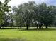 Expansive lawn with mature trees and a peaceful, rural setting at 2777 Cr 673, Bushnell, FL 33513