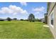 Expansive backyard featuring lush green grass and mature trees, perfect for outdoor activities at 5233 Los Palma Vista Dr, Orlando, FL 32837