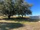 Expansive yard features mature trees offering shade and natural beauty, complemented by a custom fire pit at 103 Thornbush Pkwy, Davenport, FL 33837