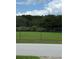 Expansive backyard view of greenery visible beyond a chainlink fence at 204 Madison St, Minneola, FL 34715