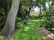 Secluded backyard with chain link fence and lush greenery offering a private outdoor space at 909 Heatherbrook Dr, Auburndale, FL 33823