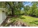 A tree dominates this backyard with green grass and an overgrown fence at 833 N Suwannee Ave, Lakeland, FL 33815