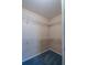 Walk-in closet providing ample storage space and featuring wire shelving and carpeting at 1074 Canary S Cir, Lakeland, FL 33809