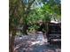 Lush front yard with mature trees and tropical foliage, creating a private oasis at 6615 New Tampa Highway, Lakeland, FL 33815
