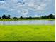 Scenic view of a serene lake surrounded by lush greenery, enhancing the backyard's natural beauty at 5543 Siltstone St, Lakeland, FL 33811