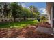 Large backyard with green grass, privacy trees, mulch bed, and a brick paver patio at 10274 Julia Isles Ave, Oxford, FL 34484