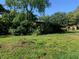 View of an overgrown single-story home with a lush green lawn on a sunny day at 550 W Oak Dr, Lakeland, FL 33803