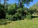 View of an overgrown single-story home obscured by trees and landscaping on a sunny day at 550 W Oak Dr, Lakeland, FL 33803