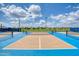 Close-up of a pristine pickleball court on a sunny day at 198 Gypsy Palace Ln, Daytona Beach, FL 32124