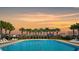 Community swimming pool with rows of palm trees and lounge chairs create a relaxing resort-style atmosphere at sunset at 886 Suffolk Pl, Davenport, FL 33896