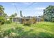 Green backyard with a screened-in pool enclosure, offering a private and relaxing outdoor space at 1910 Sylvester Ct, Lakeland, FL 33803
