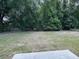 Spacious backyard with mature trees at 1737 N Lakewood Ave, Ocoee, FL 34761