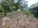 View of overgrown backyard, surrounded by lush greenery, including a storage shed at 7175 Se 123Rd Pl, Belleview, FL 34420