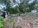 Spacious backyard featuring a shed and overgrown vegetation at 7175 Se 123Rd Pl, Belleview, FL 34420