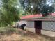 View of exterior with white lattice trim, red roof, and overgrown vegetation at 7175 Se 123Rd Pl, Belleview, FL 34420