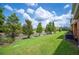 View of a backyard with lush green grass and mature trees under a partly cloudy sky at 4034 Winding Vine Dr, Lakeland, FL 33812