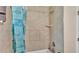 Bathroom featuring tiled shower, bronze showerhead, and sleek shower curtain at 311 Bentley Oaks Blvd, Auburndale, FL 33823