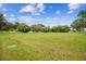Large backyard with grass and potential for expansion, featuring blue sky and green trees at 4189 Homestead Dr, Lakeland, FL 33810