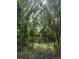 Wooded lot with lush vegetation and natural sunlight at 422 22Nd Sw St, Winter Haven, FL 33880