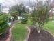 Lush lawn with red brick border and mature tree at 2514 Sage Dr, Kissimmee, FL 34758