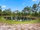 Serene pond surrounded by lush greenery at 32200 Ponderosa Ave, Deland, FL 32720