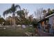 Well-maintained lawn with palm tree and pathway lighting at 24008 Ermine Rd, Astor, FL 32102