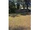Large backyard with fenced perimeter and grassy area at 612 E Plymouth Ave, Deland, FL 32724