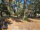 Wooded backyard with mature trees and a partially visible home at 3347 Quail Roost Dr, Deland, FL 32720