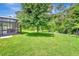 Lush green backyard featuring mature trees, manicured lawn, and screened-in porch at 317 Nowell Loop, Deland, FL 32724