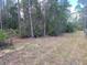 Partially cleared homesite with mature trees offers a serene setting and privacy at 4205 Quail Ranch Rd, New Smyrna Beach, FL 32168