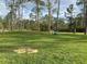 Lush grassy area under tall trees, near a street, a perfect place for outdoor activities at 4205 Quail Ranch Rd, New Smyrna Beach, FL 32168