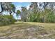 Wide, grassy lot features an enclosed area and a canopy of trees, creating a park-like setting at 1440 Arroyo Vista Dr, Deland, FL 32724