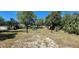 Large backyard featuring mature trees and a playset, perfect for outdoor activities and Gathering fun at 250 Hickory Ave, Orange City, FL 32763