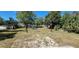 Lush backyard with a playground, providing a safe and enjoyable space for children to play at 250 Hickory Ave, Orange City, FL 32763