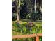 Peaceful picnic area surrounded by trees and greenery at 110 Cypress Woods Ct # 7D, Deltona, FL 32725