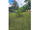 Green backyard area, partially fenced, with a lemon tree, blending beauty and functionality at 1461 N Felton St, Deltona, FL 32725