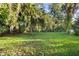 Green backyard with mature trees and dappled sunlight, showcasing the property's outdoor space at 522 Powers Ave, Port Orange, FL 32127