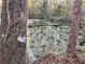 Picturesque pond filled with lily pads surrounded by trees and lush greenery at 353 Vannote Rd, Pierson, FL 32180