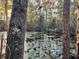 Peaceful pond with lily pads surrounded by lush trees and foliage, a nature lover's paradise at 353 Vannote Rd, Pierson, FL 32180